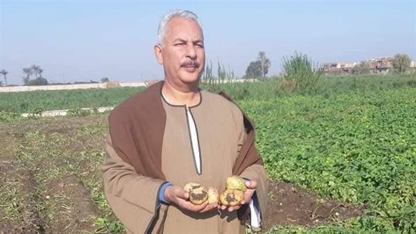 نقيب الفلاحين يتحدث عن أسعار الطماطم والبطاطس 