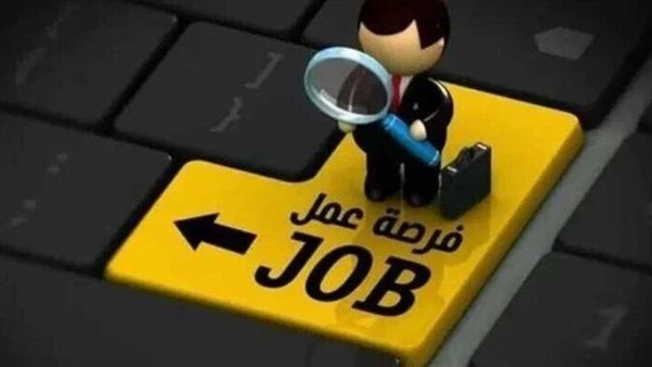 وظائف محافظة القاهرة 2024