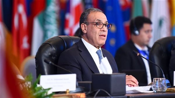 الدكتور بدر عبد العاطي وزير الخارجية والهجرة