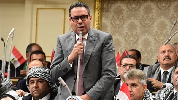 النائب هشام الحصري، رئيس لجنة الزراعة والري بمجلس النواب