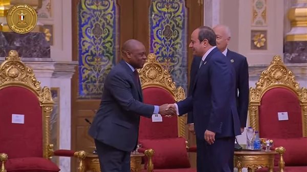قمة الثماني النامية