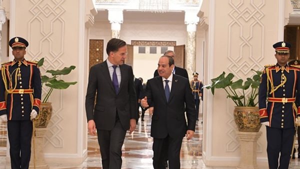 ماذا قال السيسي عن غزة