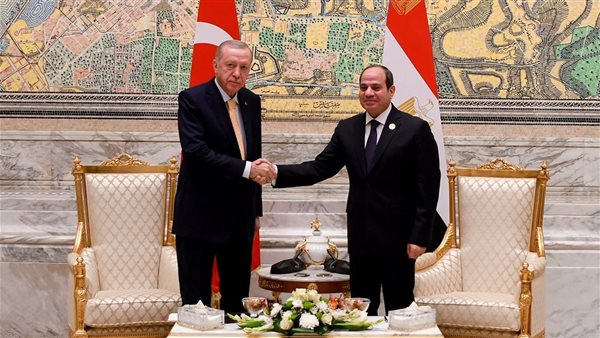 الرئيس السيسي وأردوغان خلال قمة الثماني النامية