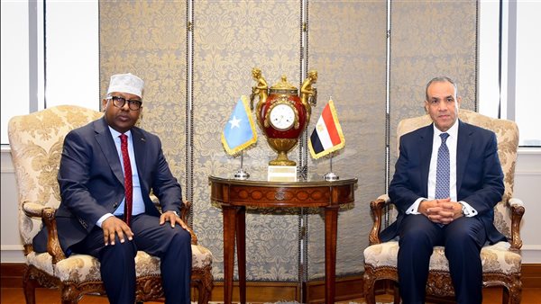 الدكتور بدر عبد العاطي وزير الخارجية، مع وزير خارجية الصومال
