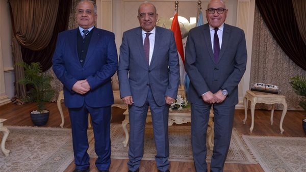 وزير الكهرباء 