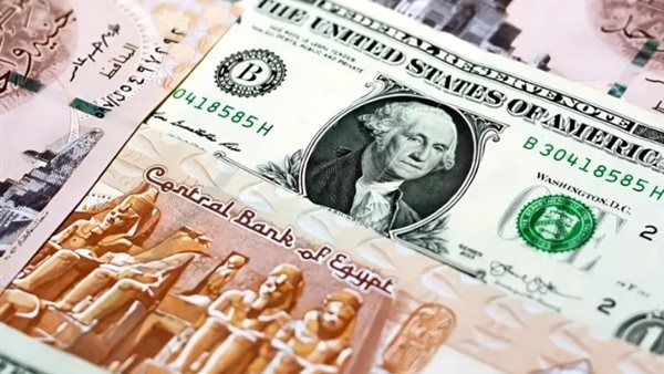  أسباب ارتفاع سعر الدولار أمام الجنيه المصري