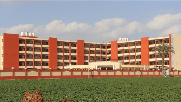 المدارس المصرية اليابانية