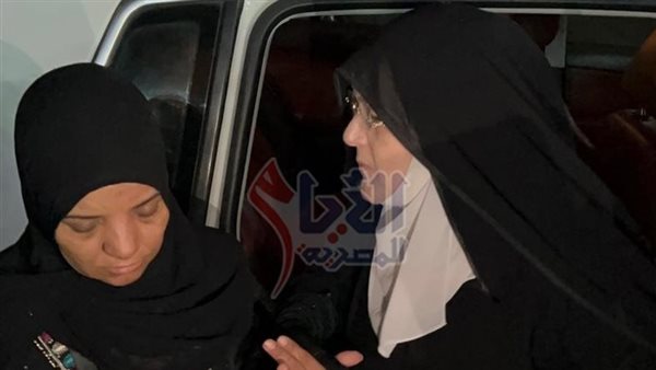 شمس البارودي