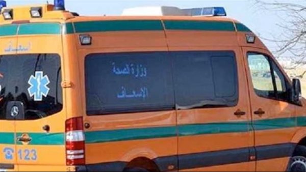 أسماء ضحايا حادث الطريق الصحراوي بالمنيا