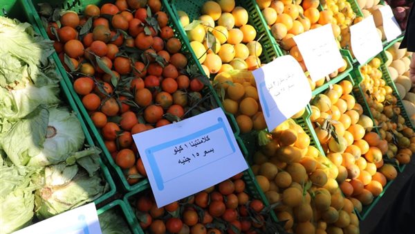 أماكن أسواق اليوم الواحد