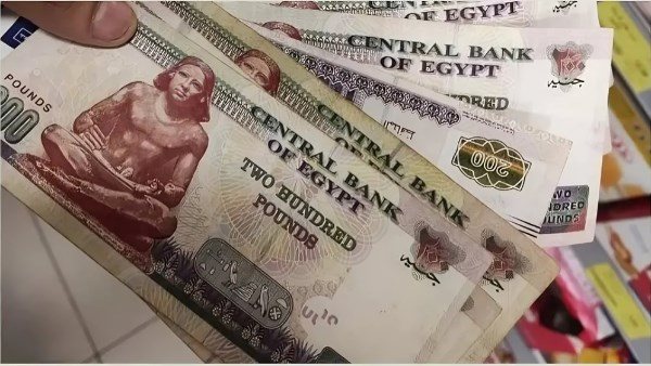 موعد صرف منحة العمالة غير المنتظمة 2025
