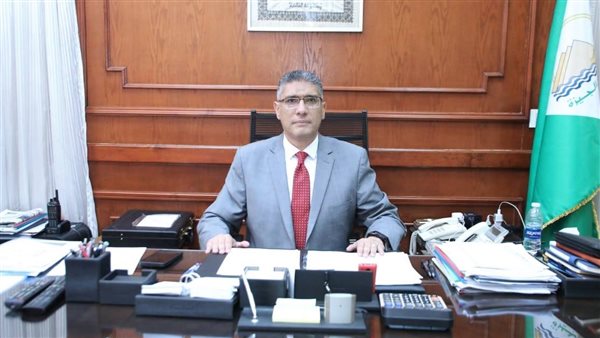 المهندس عادل النجار محافظ الجيزة 