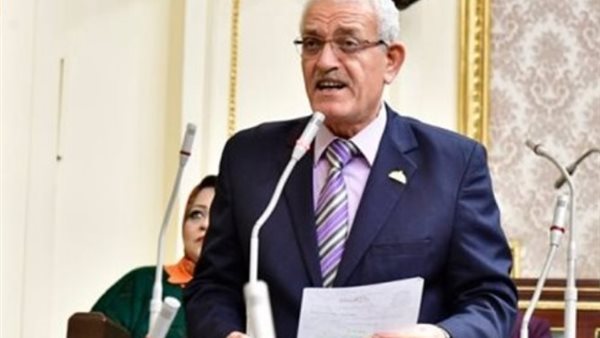 النائب عاطف مغاوري