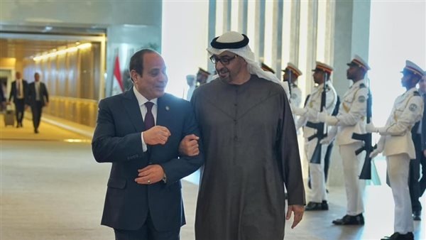 الرئيس السيسي وبن زايد