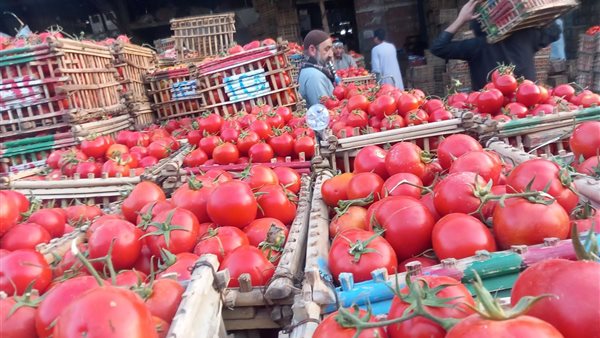 أسعار الخضروات في سوق العبور اليوم
