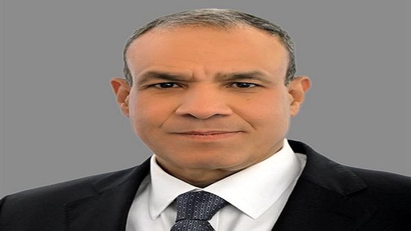 الدكتور بدر عبد العاطي وزير الخارجية