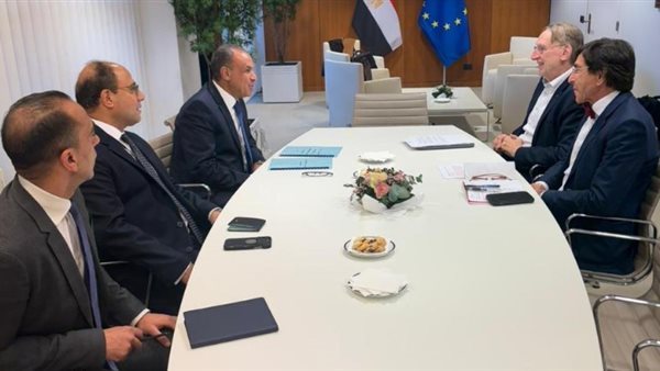 الدكتور بدر عبد العاطي وزير الخارجية