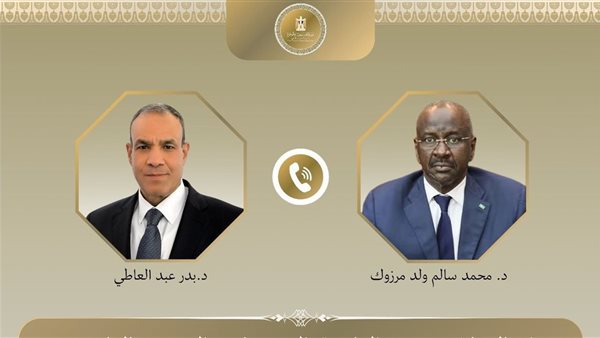 الدكتور بدر عبد العاطي، وزير الخارجية