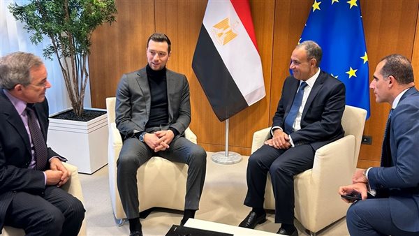 الدكتور بدر عبد العاطي وزير الخارجية