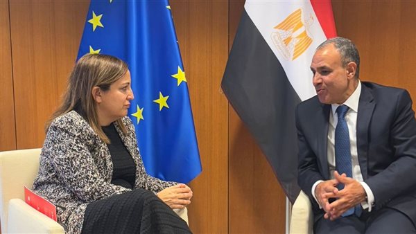 الدكتور بدر عبد العاطي، وزير الخارجية