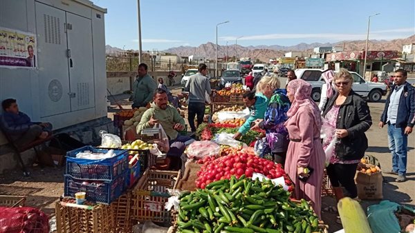 افتتاح سوق اليوم الوحد بجنوب سيناء