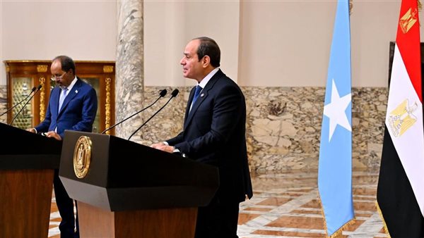 الرئيس عبد الفتاح السيسي رئيس الجمهورية