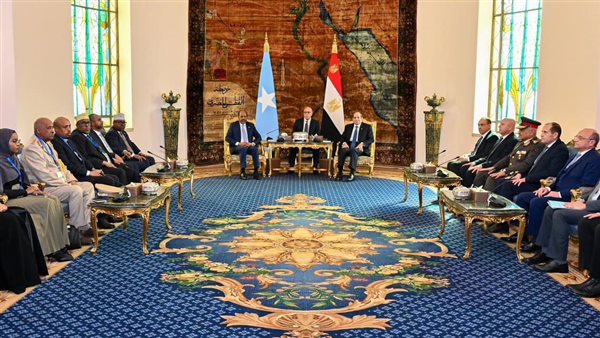 الرئيس عبد الفتاح السيسي رئيس الجمهورية
