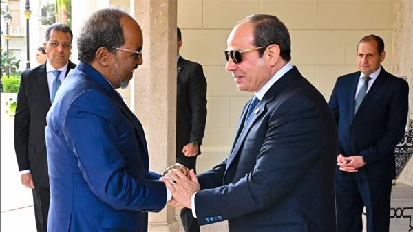 الرئيس عبد الفتاح السيسي رئيس الجمهورية