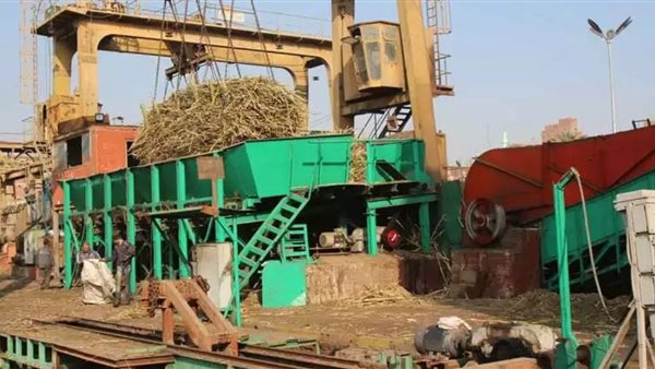مصانع السكر المغلقة تعود للعمل.. انتاج جرجا ودشنا بالأسواق