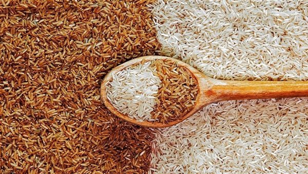 سعر طن الأرز الشعير اليوم