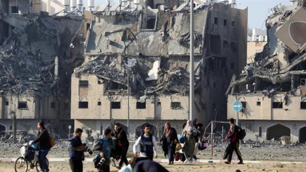 الدكتور محمود حسين أمين الأمانة العامة للمصريين بالخارج