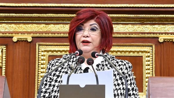 النائبة نورا علي - رئيس لجنة السياحة والطيران بمجلس النواب