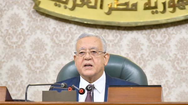 موقف مجلس النواب المصري من القضية الفلسطينية