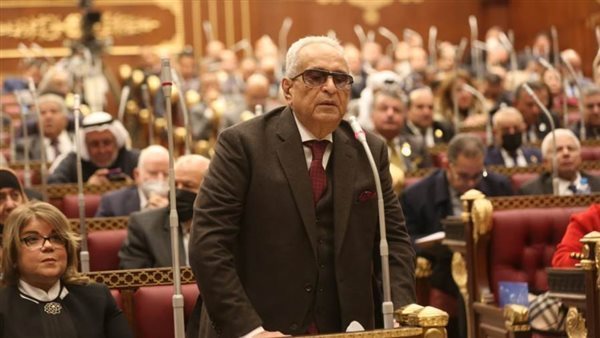 النائب بهاء أبو شقة، وكيل مجلس الشيوخ