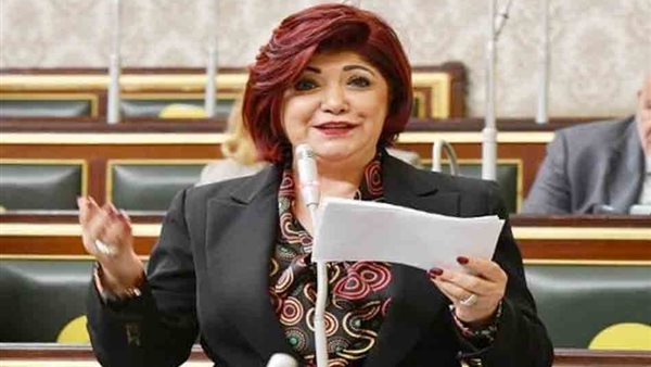 النائبة نورا علي