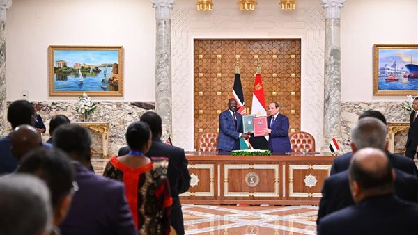الرئيس عبد الفتاح السيسي، رئيس الجمهورية
