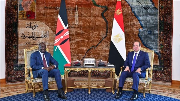الرئيس عبد الفتاح السيسي، رئيس الجمهورية