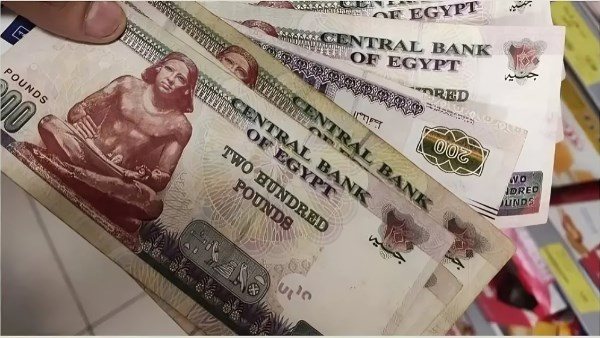 موعد صرف معاشات فبراير 2025