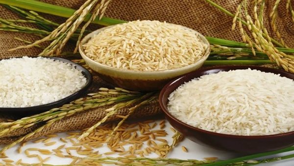 سعر طن الأرز الشعير اليوم