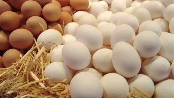 سعر كرتونة البيض اليوم للمستهلك