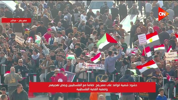 الدكتور أيمن محسب وكيل لجنة الشئون العربية بمجلس النواب