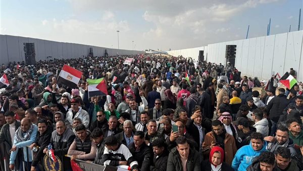 اتحاد القبائل والعائلات المصرية