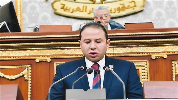 النائب حسن عمار عضو مجلس النواب