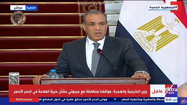 الدكتور بدر عبد العاطي، وزير الخارجية