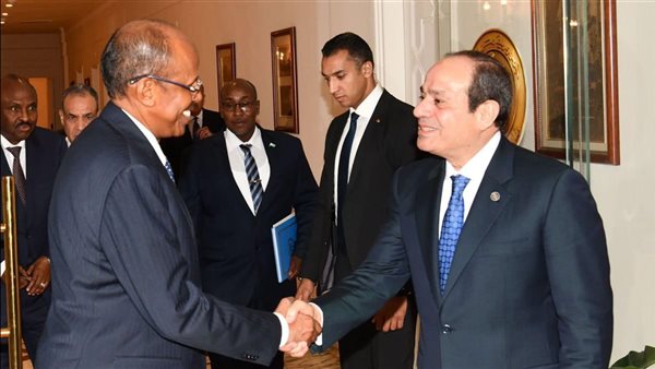 الرئيس عبد الفتاح السيسي، رئيس الجمهورية