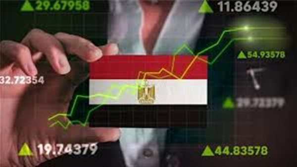  القطاع الخاص غير النفطي في مصر