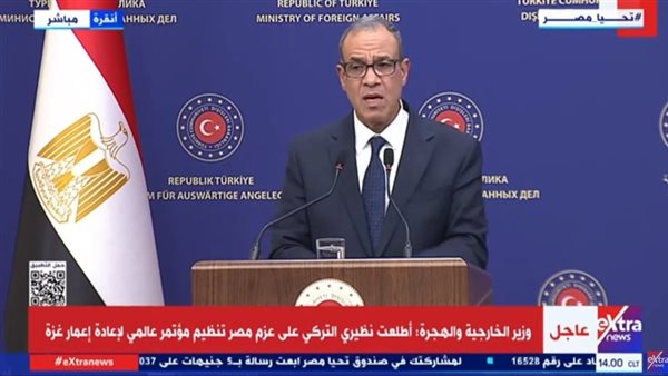 الدكتور بدر عبد العاطي، وزير الخارجية