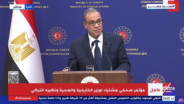 الدكتور بدر عبد العاطي، وزير الخارجية