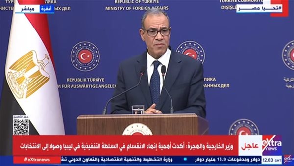 الدكتور بدر عبد العاطي، وزير الخارجية