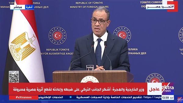 الدكتور بدر عبد العاطي، وزير الخارجية